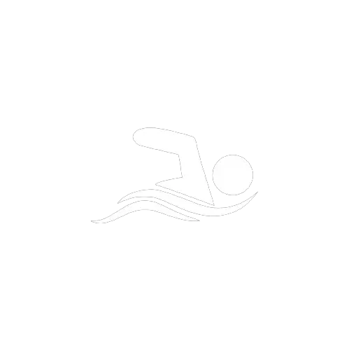 A icon of swimming
